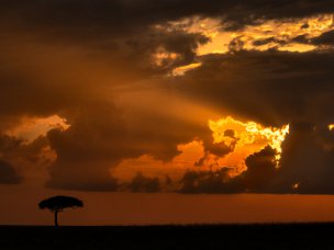 Maasai Mara