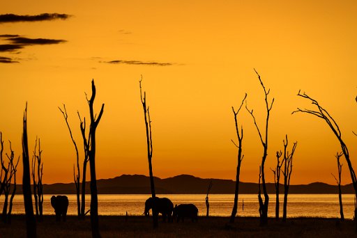 _DSC1105 Matusadona NP - lake Kariba