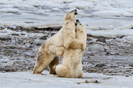 _DSC1080_1