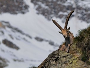 Granpa Uno degli ambienti montani più belli d'Italia e probabilmente del mondo. Mi sono innamorato di questa montagna la prima...