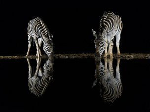 Africa Immensa, emozionante, orrenda o meravigliosa, è l'Africa. Culla dell'umanità, mal d'Africa, è tutto vero, ma ancora più...